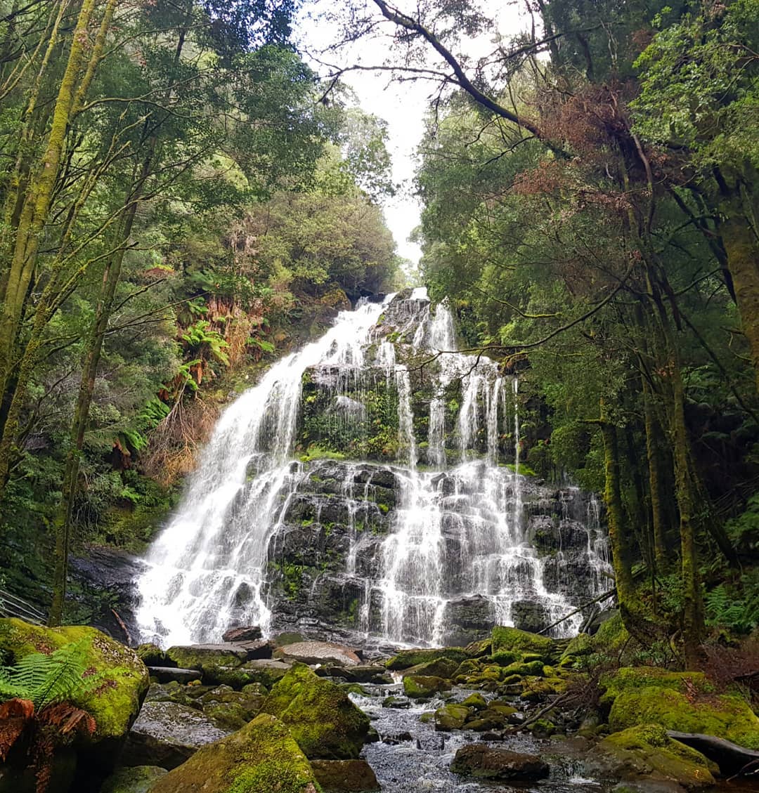 Nelson Waterfall in a lush green forest